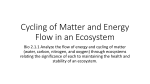 Cycling of Matter in an Ecosystem