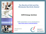 The Electrical Grid and the Wholesale Electricity Market OSPE