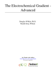 The Electrochemical Gradient - Advanced