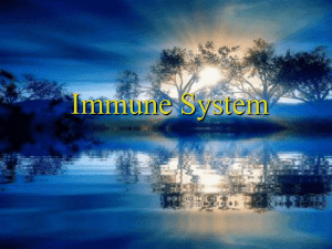 第九章 免疫系统