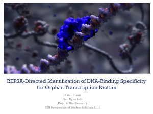 REPSA-Directed Identification of DNA