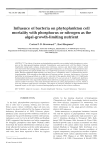 Influence of bacteria on phytoplankton cell mortality