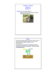 Transport in Plants Lesson 10 Biology 10