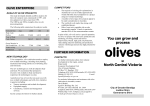 The Olive Oil Market - QDT Management Consultants