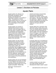 Lesson 3. Solutions to Pollution Aquatic Plants