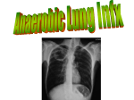 IM Anaerobic Lung Infx Presentation