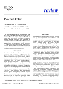 Plant architecture