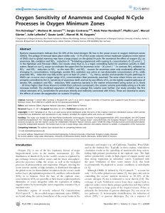 Oxygen Sensitivity of Anammox and Coupled N