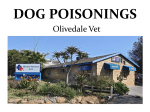 dog poisonings - Douglasdale CPF Sector 1