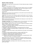 Genetics Notes Overview