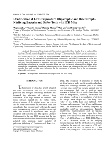 Identification of Low-temperature Oligotrophic and Heterotrophic