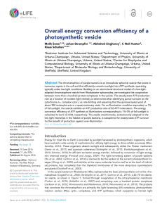 Overall energy conversion efficiency of a photosynthetic vesicle | eLife