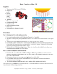 Make Your Own Solar Cell (1 hour version)_2pg