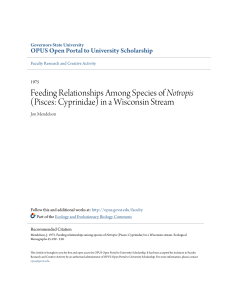 Feeding Relationships Among Species of Notropis (Pisces