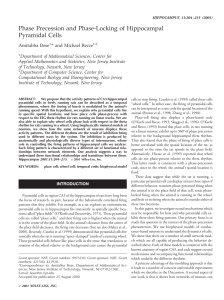 Phase precession and phase locking of hippocampal pyramidal cells