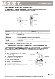 KS3 Science - Benjamin Britten School