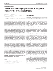 Synaptic and extrasynaptic traces of long-term memory