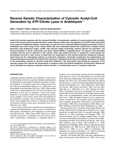 Reverse Genetic Characterization of Cytosolic Acetyl
