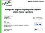Design and engineering of synthetic hybrid photo