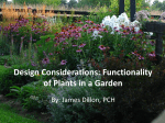 Design Considerations: Functionality of Plants in a Garden