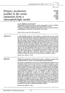 Primary production profiles in the ocean : estimation from