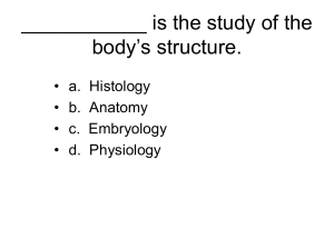 ______ is the study of the body`s structure.