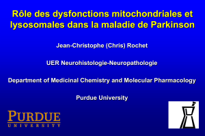(respectively) in PD brain. Dehay, B. et al., J Neurosci