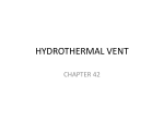HYDROTHERMAL VENT PPT