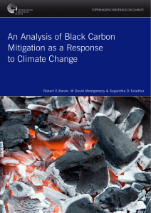 An Analysis of Black Carbon Mitigation as a Response to Climate