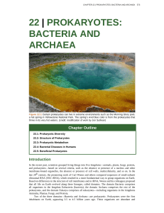 22 | prokaryotes: bacteria and archaea