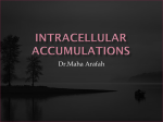 intracellular accumulations