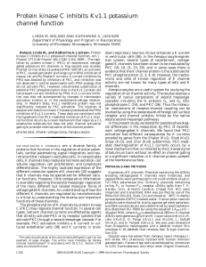 Protein Kinase C inhibits Kv1.1 potassium channel function