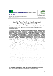 Candida Freyschussii: an Oleaginous Yeast Producing Lipids