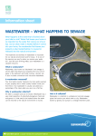 WasteWater – WHat Happens to seWage