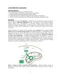 lab topic 5