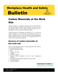 Carbon Monoxide at the Work Site (Bulletin