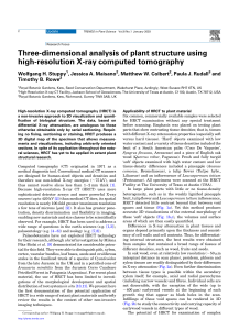 Three-dimensional analysis of plant structure using high