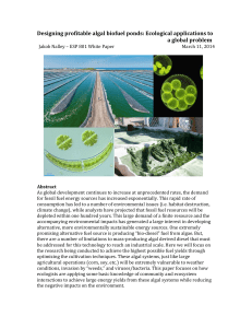 Algal Biofuel White Paper
