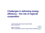 Cross-border Aspects of Energy Efficiency Bilyana Chobanova