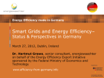 Smart Grids in Germany