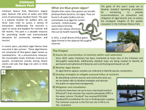 What are Blue-green algae? The Project