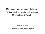Minimum Wage and Related Policy Instruments to Reduce