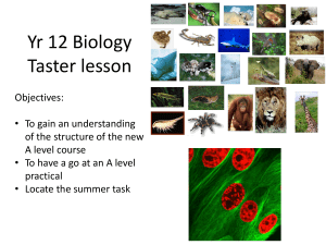 Yr 12 Biology Taster lesson