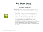 Why Big Green Group?