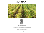 Presentation on Soybean