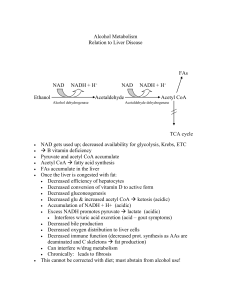 Alcohol Metabolism