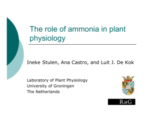 The role of ammonia in plant physiology