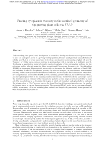 Probing cytoplasmic viscosity in the confined geometry of