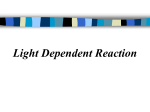 Light Dependent Reaction