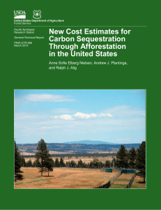 New Cost Estimates for Carbon Sequestration Through Afforestation